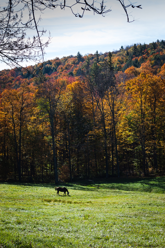 Visit Vermont | A trip to Woodstock, Vermont